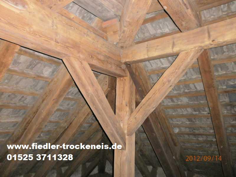 Trockeneisstrahlen Hylotoxbehandelter Dachstuhl